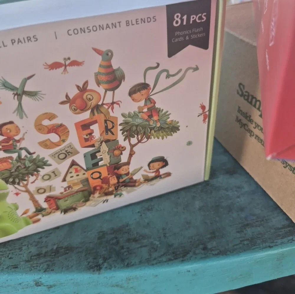 Interactive Reader Phonics Flash Cards - Nwt
